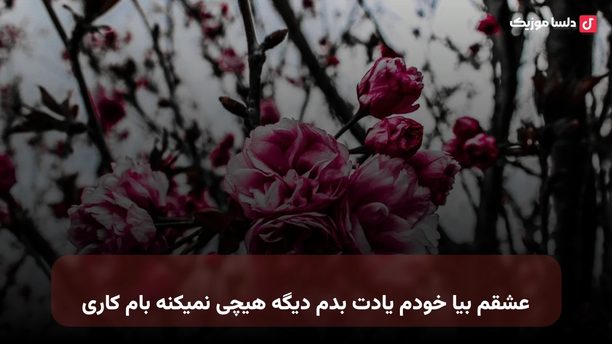 عشقم بیا خودم یادت بدم دیگه هیچی نمیکنه بام کاری